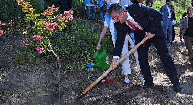 Osmaniye'de Şehitler hatıra ormanı yeni fidanlarla buluştu