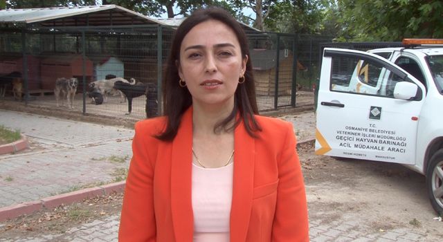 Osmaniye’de, sokak hayvanları için 24 saat klinik hizmeti veriliyor