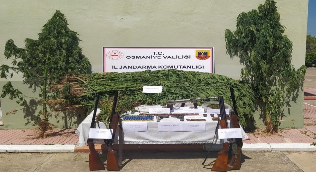 Osmaniyede uyuşturucu operasyonuna 1 tutuklama
