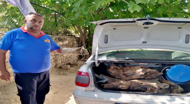 Otomobile sıkışan kertenkeleyi itfaiye kurtardı