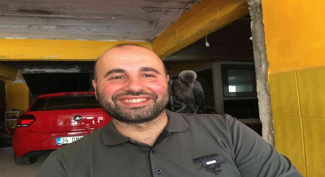 Otopark işletmecisinin karga ile dostluğu görenleri şaşırtıyor