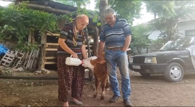 (ÖZEL) Egemeninin adeta gözleri oldular