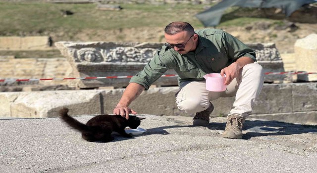 Pakize ve yavruları antik kentin maskotu oldu