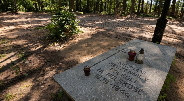 Polonyada Nazi kurbanı 8 bin kişinin külleri bulundu