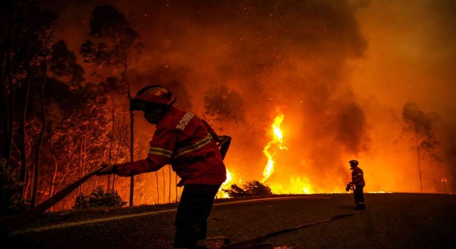 Portekizde 14 noktada orman yangını