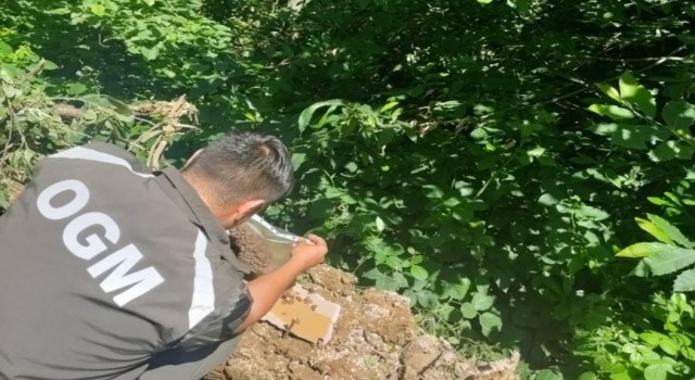 Sadece yangınlarla değil tüm zararlılarla mücadele ediyorlar