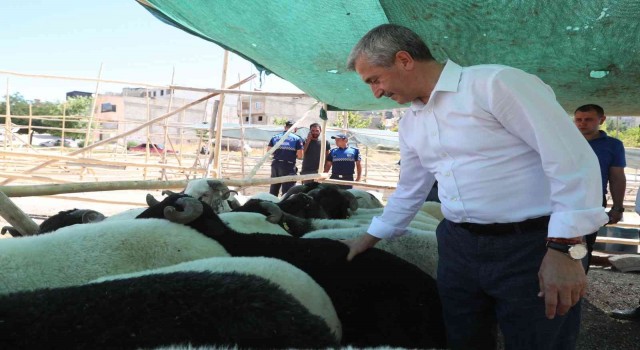 Şahinbeyde kurban satış ve kesim yerleri belirlendi