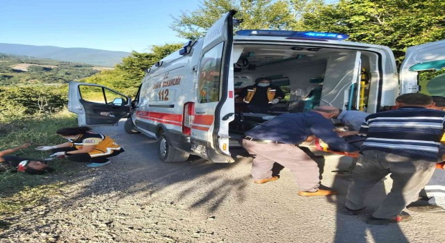 Sakaryada otomobil fındık bahçesine uçtu: 2 yaralı