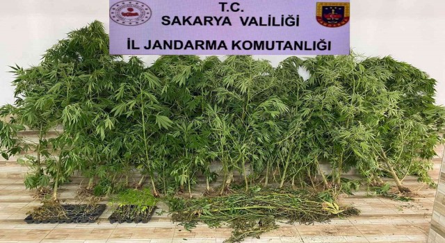 Sakaryada uyuşturucu operasyonu: 2 gözaltı