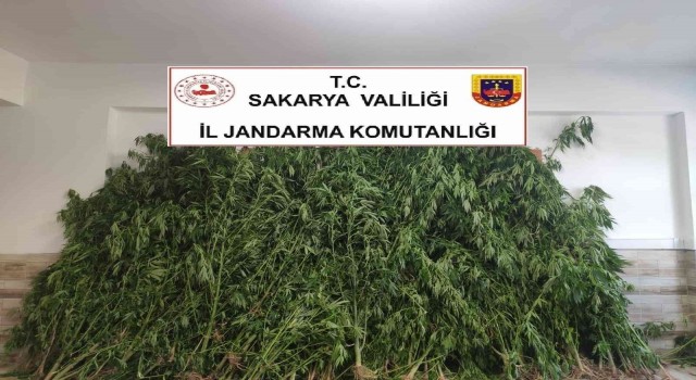 Sakaryada uyuşturucu operasyonu: Baba ve oğlu gözaltına alındı