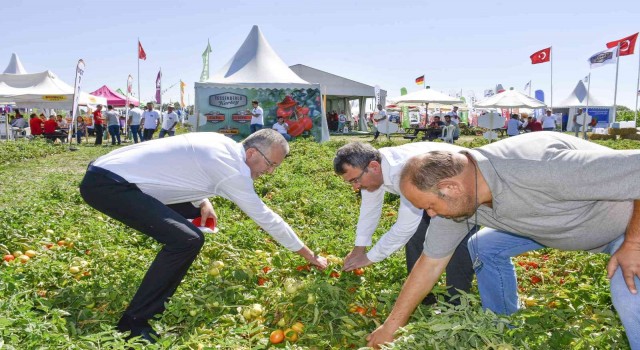 Salçalık domateste marka olan Karacabeyde domates fuarı