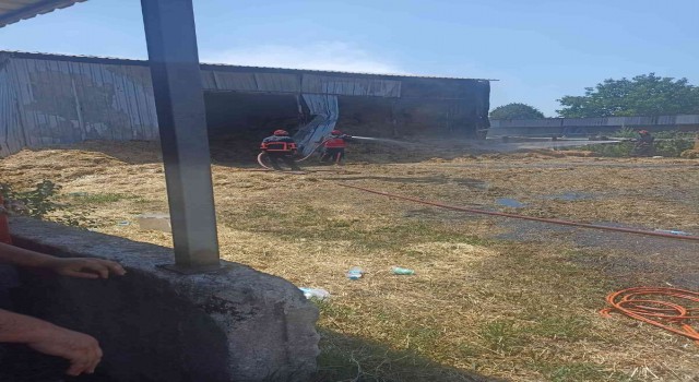 Samanlık yangını itfaiye ekiplerince söndürüldü