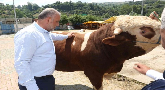 Sandıkçı: “Canik Hayvan Pazarı Karadenizde örnek bir pazar”