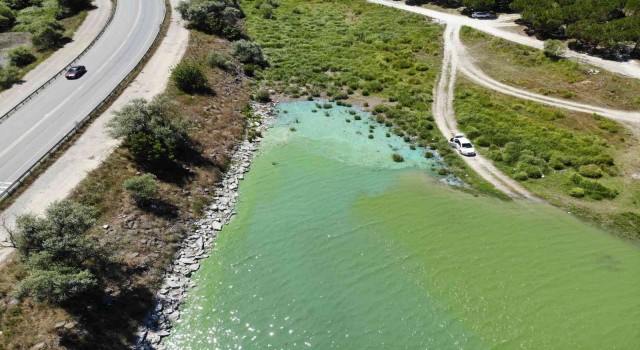 Sazlıbosna Gölü tehlike saçıyor