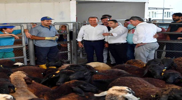 Seçer, tarımsal destek dağıtım törenine katıldı