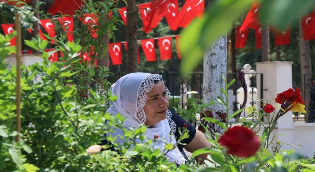 Şehit annesi: Biz Mehmetçiklerimizin sayesinde ayaktayız, bir gitse de bin geliyor