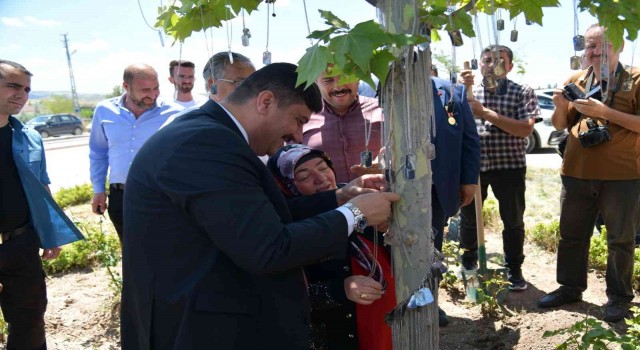 Şehitlerin isimleri çınar ağacında yaşayacak