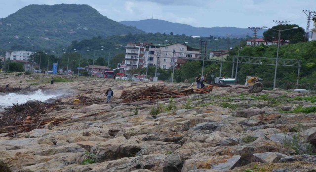 Sel sonrası kıyıya vuran odunlar, vatandaşlar tarafından toplanıyor