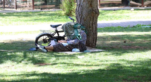 Sıcaktan bunalan soluğu gölgede aldı