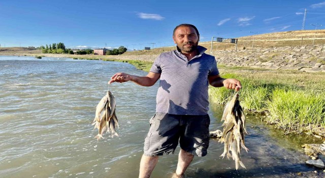 Sıcaktan bunalan vatandaşlar soluğu Murat Nehrinde aldı