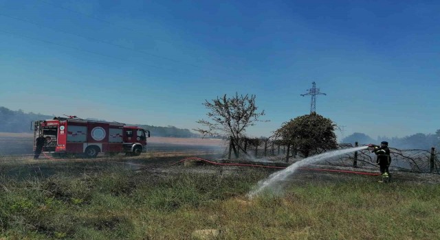 Sigara izmariti anız yangınına neden oldu