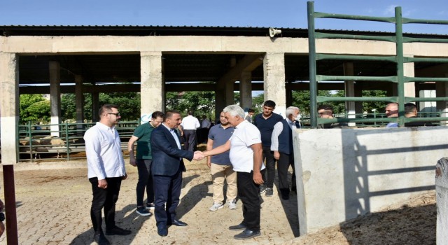 Siirt Valisi Hacıbektaşoğlu, kurban kesim alanlarını denetledi