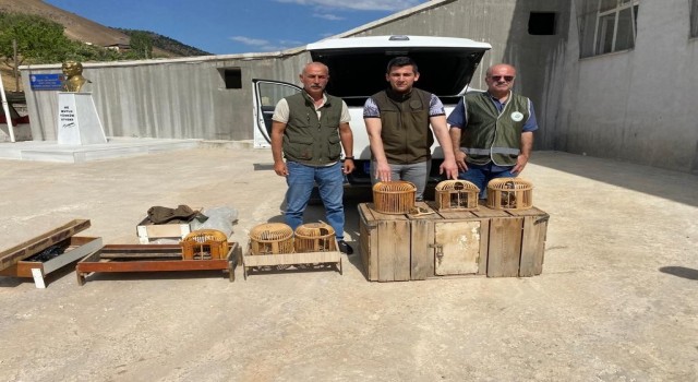 Siirtte bir evin bahçesinde 10 canlı keklik ele geçirildi