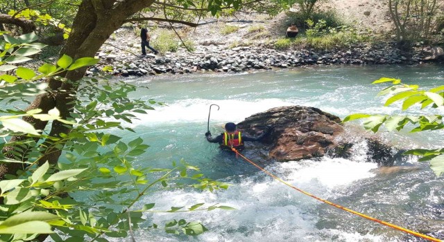 Siirtte kayıp hemşireyi arama çalışmaları devam ediyor