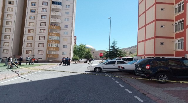Şikar teyzenin feci sonu