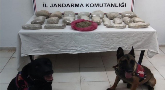 Sınırdan geçirilen 2 milyon lira değerindeki 11 kilogram bonzai ele geçirildi