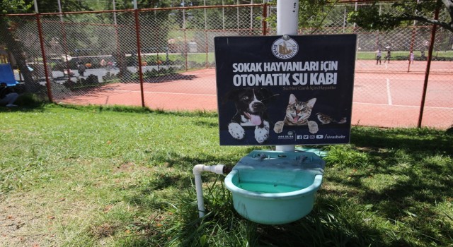 Sokak hayvanları için otomatik sulama sistemi