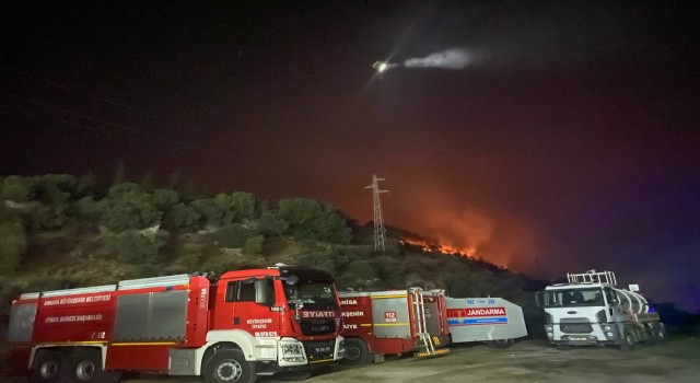 Sökedeki orman yangınında alevler geceyi aydınlattı