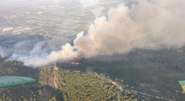 Sökedeki yangına 7 helikopter ve 4 uçakla müdahale devam ediyor