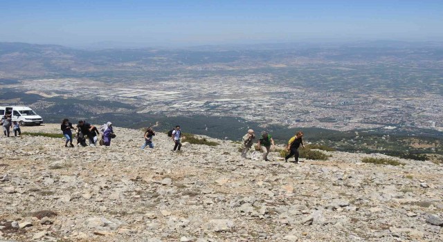 Spil Dağı Milli Parkının endemik tür bitki ve çiçekleri fotoğraflandı