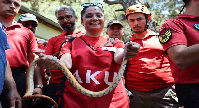 STKlara hayvan arama kurtarma eğitimi
