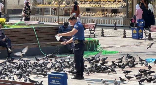 Sultanbeylide yürekleri ısıtan görüntü: Polis memuru, güvercinleri her gün ekmek kırıntıları ile besliyor