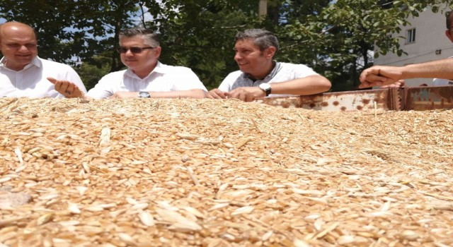 Tarım Lisesinde ilk hasat heyecanı yaşandı.