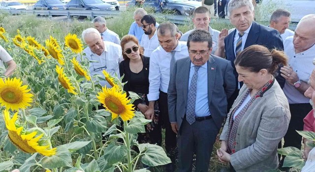 Tarım ve Orman Bakan Yardımcısı Pakdil: Rekolte açısından bir kaybımız olmaz
