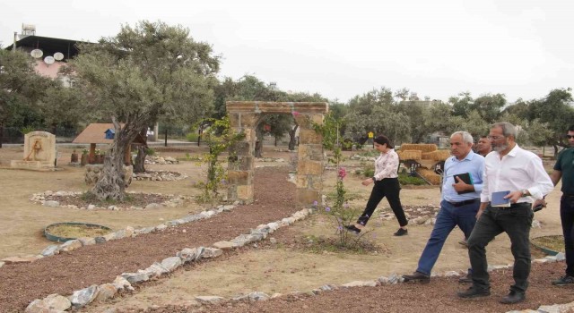 Tarsusta Zeytin Gen Koruma Alanı açılıyor