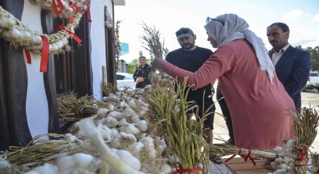 Taşköprü sarımsağına kooperatif desteği
