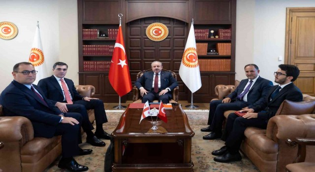 TBMM Başkanı Şentop, Gürcistan Dışişleri Bakanı Darchiashviliyi kabul etti