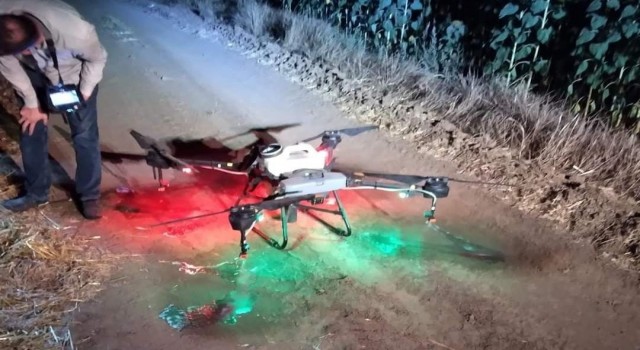 Tekirdağda tırtıl istilası: Dron ile operasyon başlatıldı