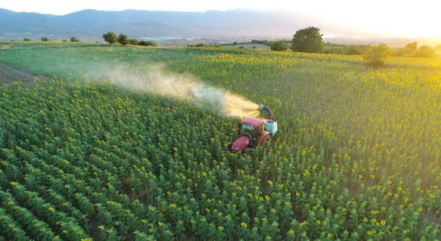 Tırtıl basan tarlalara, İnegöl Belediyesinden anında müdahale