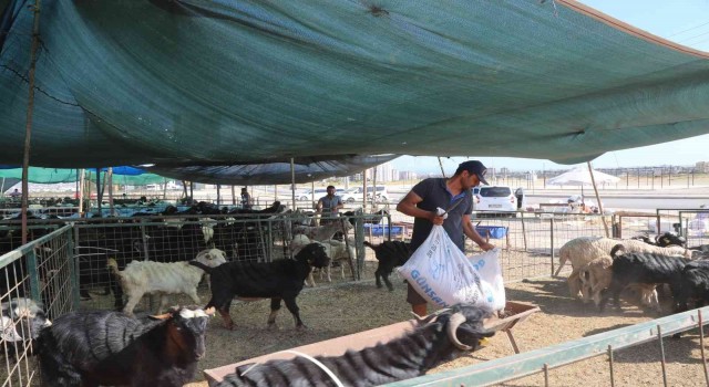Toroslarda kurban satış ve kesim alanları hazırlandı