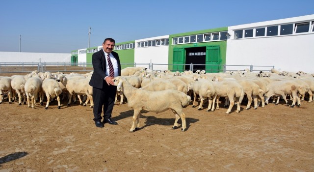 TÜDKİYEB Genel Başkanı Nihat Çelik: 3 milyonun üzerinde küçükbaş hayvan kurban edildi