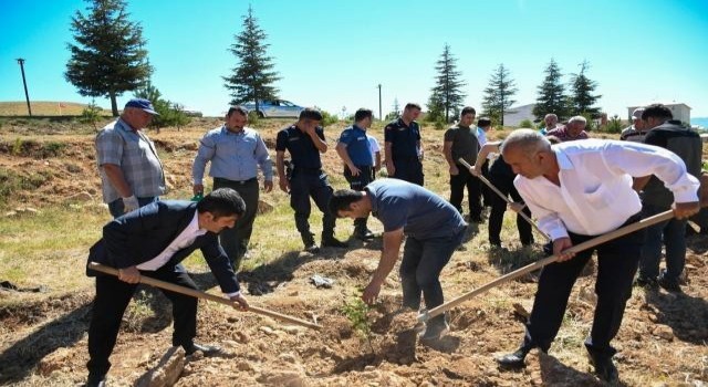 Tufanbeylide 15 Temmuzda fidanlar toprakla buluştu