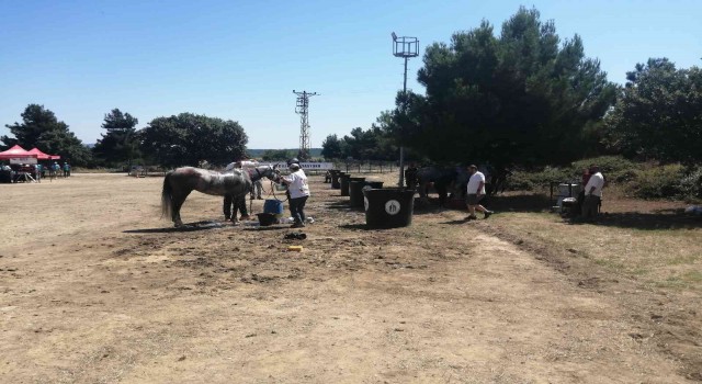 Uluslararası Atlı Dayanıklılık yarışmaları Çanakkalede düzenleniyor