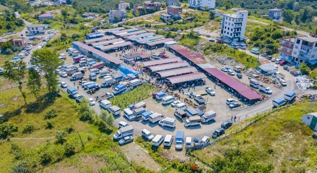 Ünyedeki modern hayvan pazarında yoğunluk