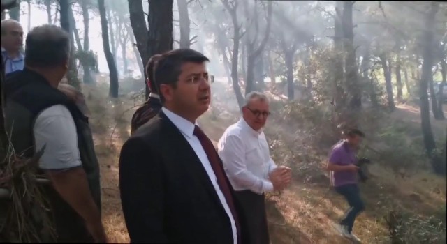 Vali Kırbıyık, Keşandaki orman yangını bölgesinde incelemede bulundu