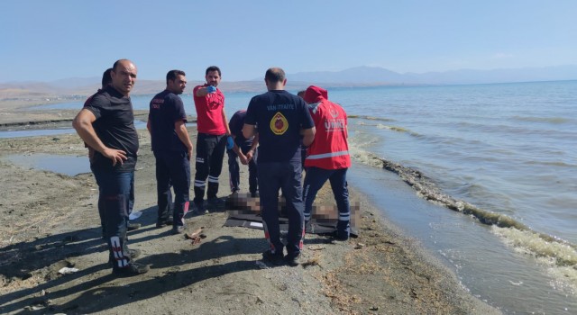 Van Gölüne giren çocuklardan 2sinin cansız bedeni bulundu